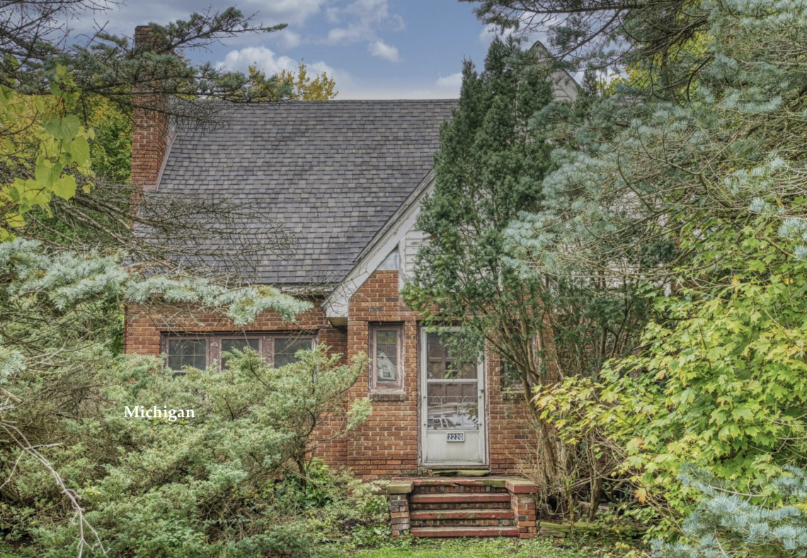 Michigan handyman special