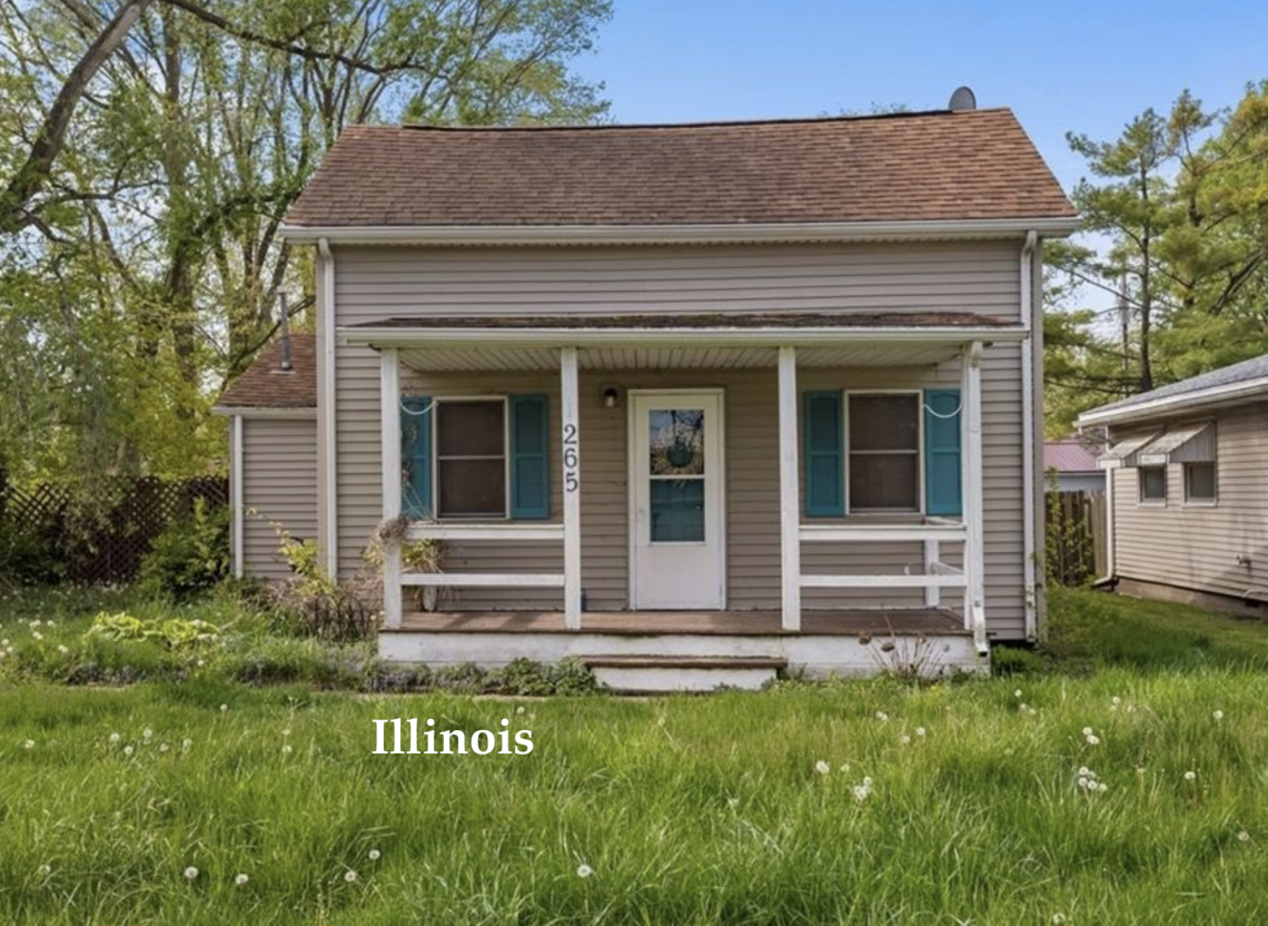 Illinois handyman special