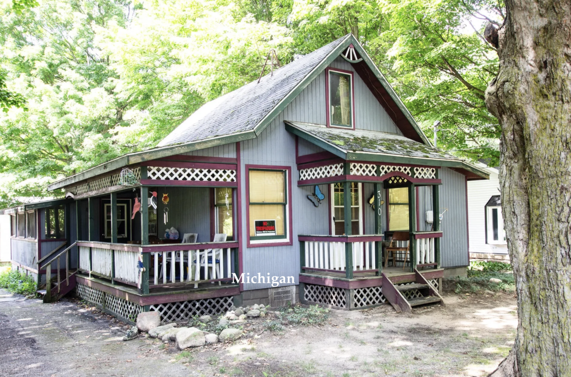 Michigan handyman special