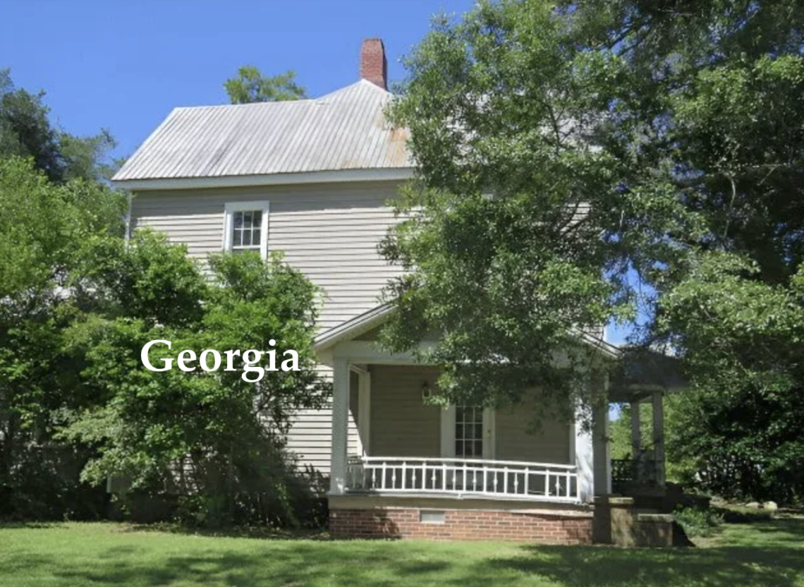 Georgia handyman special