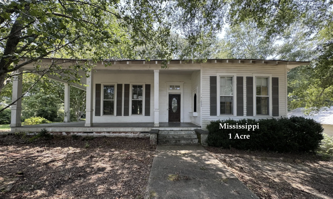 Mississippi handyman special