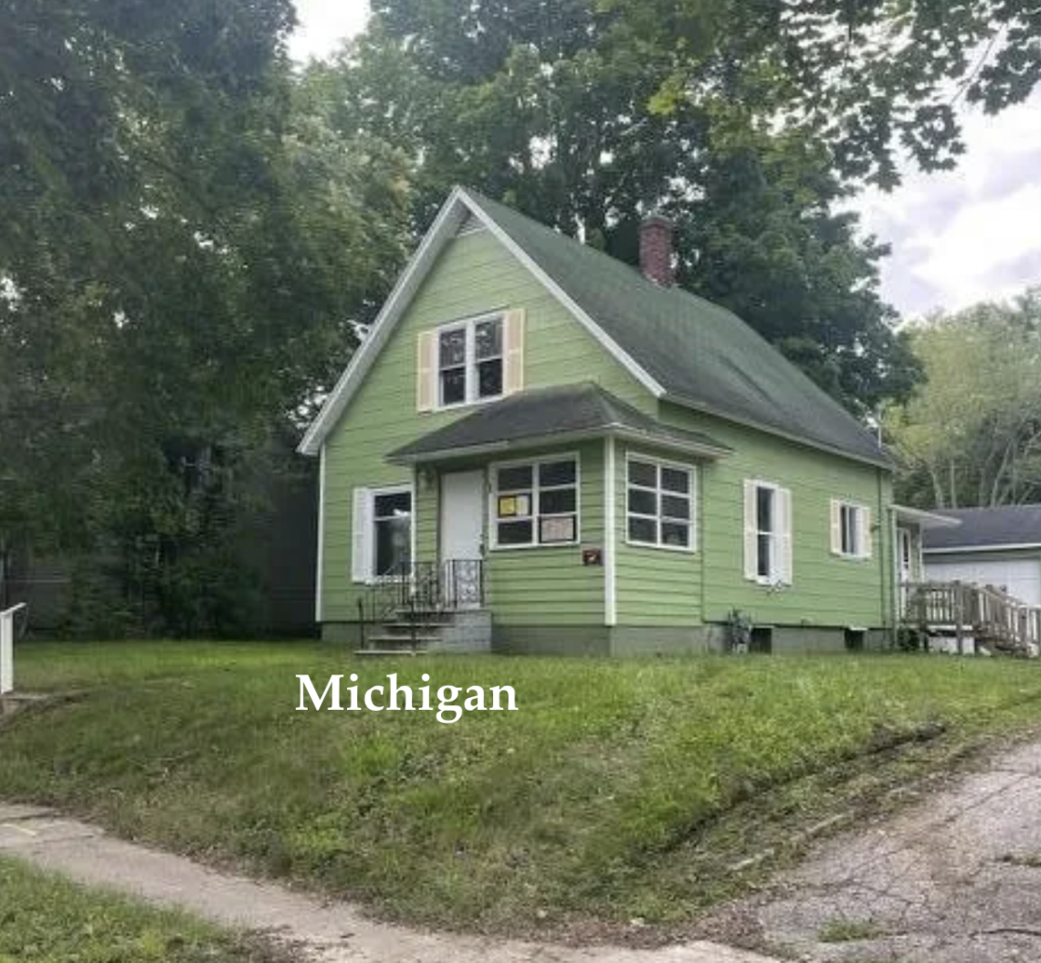Michigan handyman special