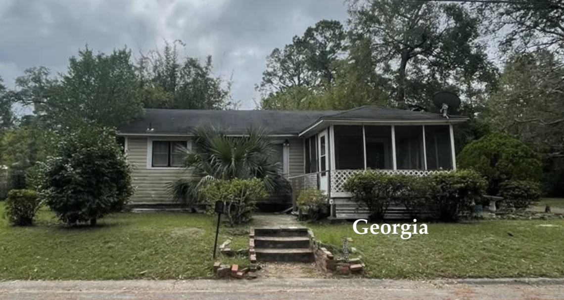 Georgia handyman special