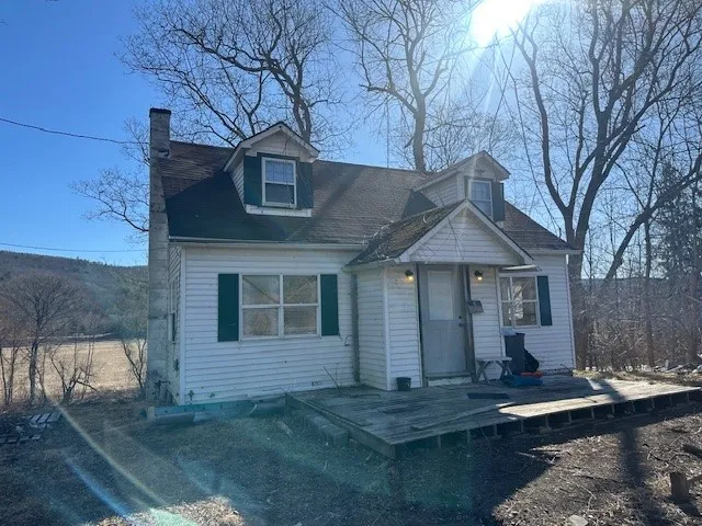 New York handyman special