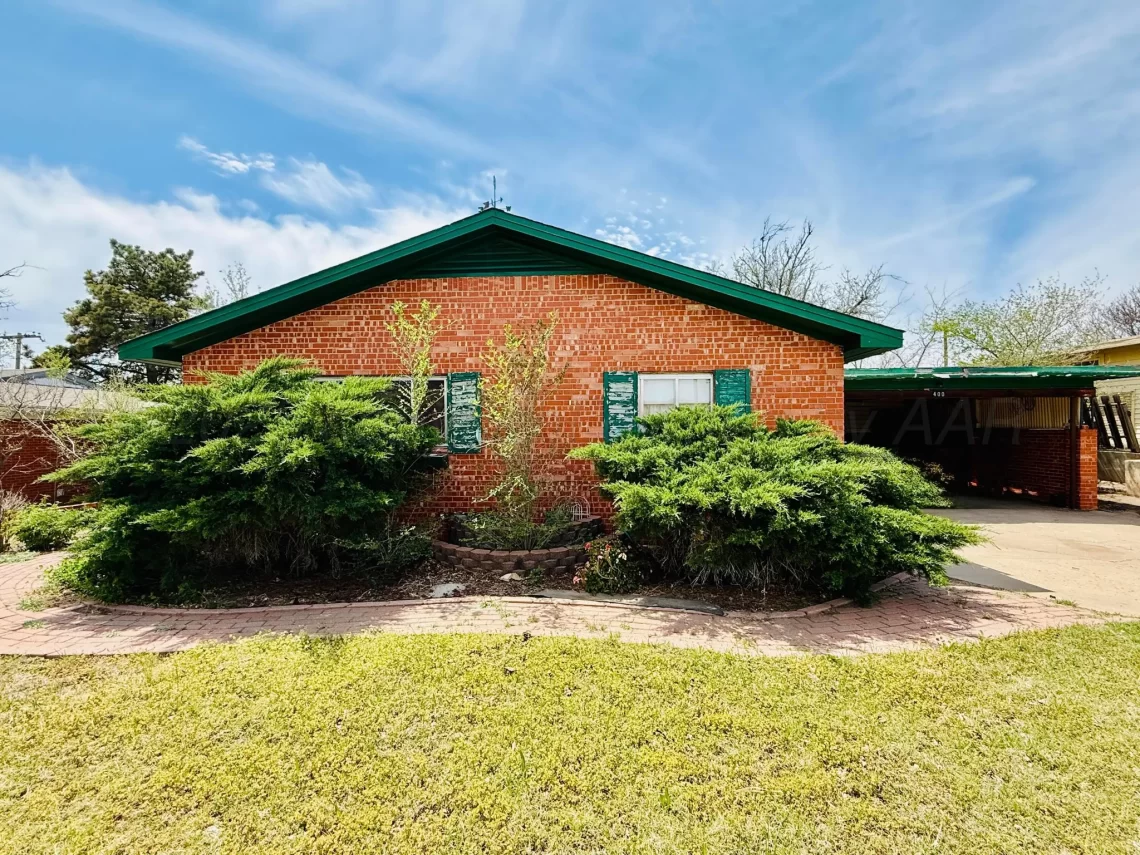 texas handyman special