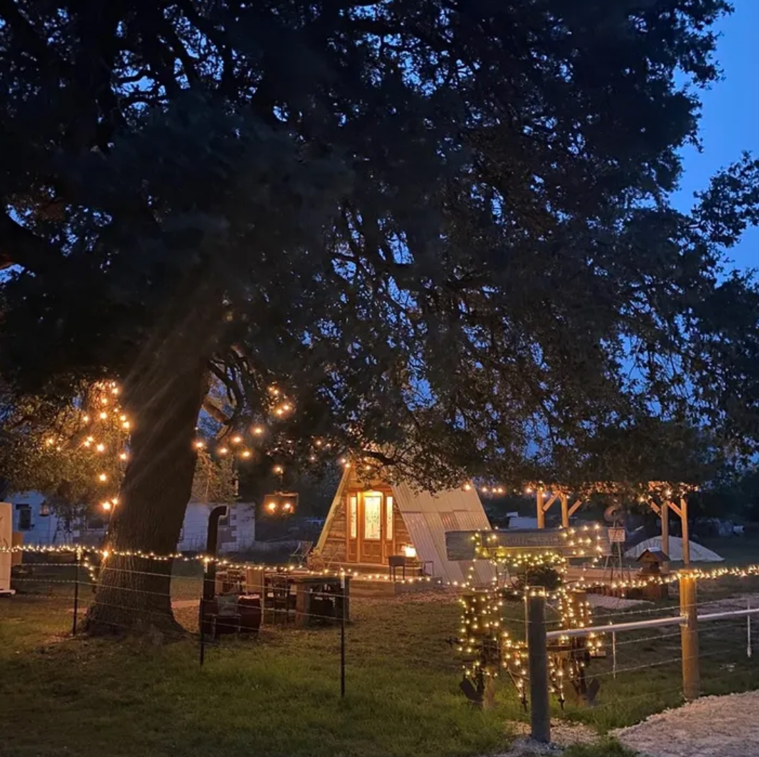 multiple texas homes