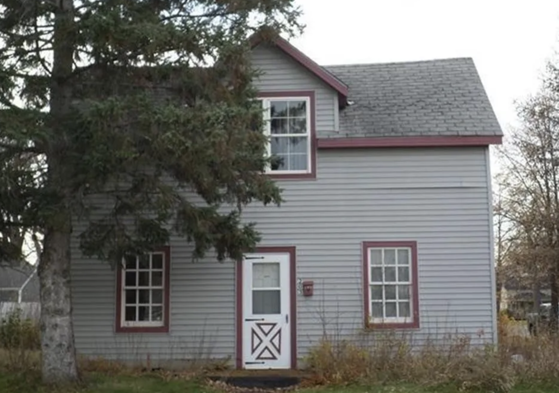 Minnesota handyman special