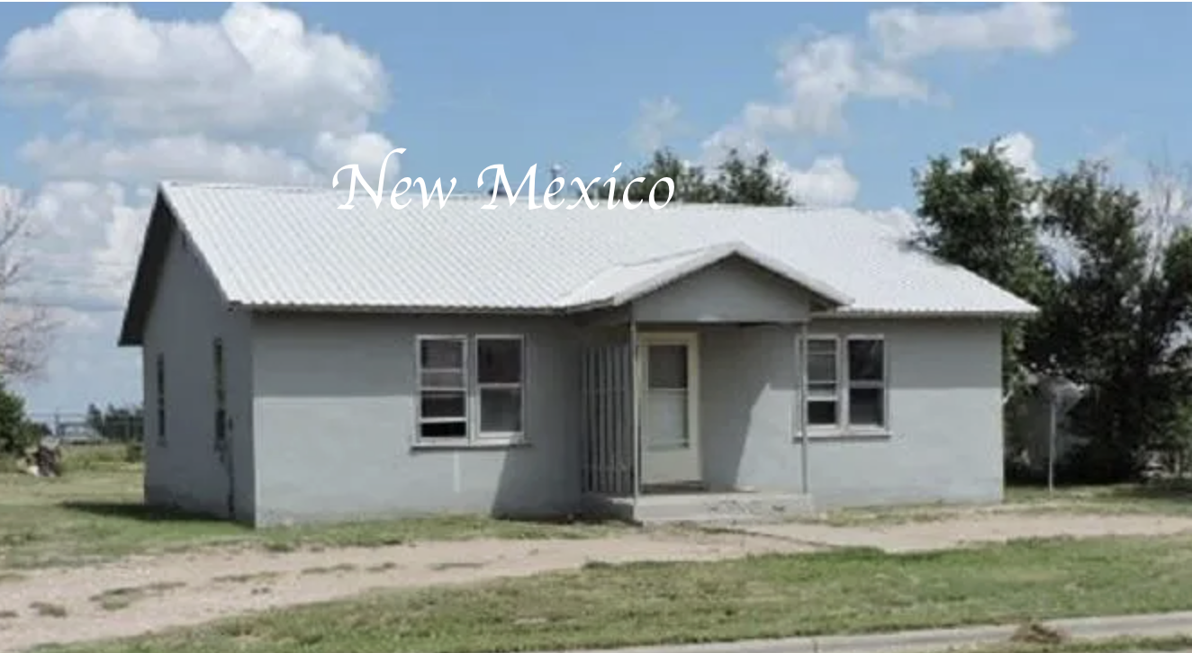 New Mexico handyman special