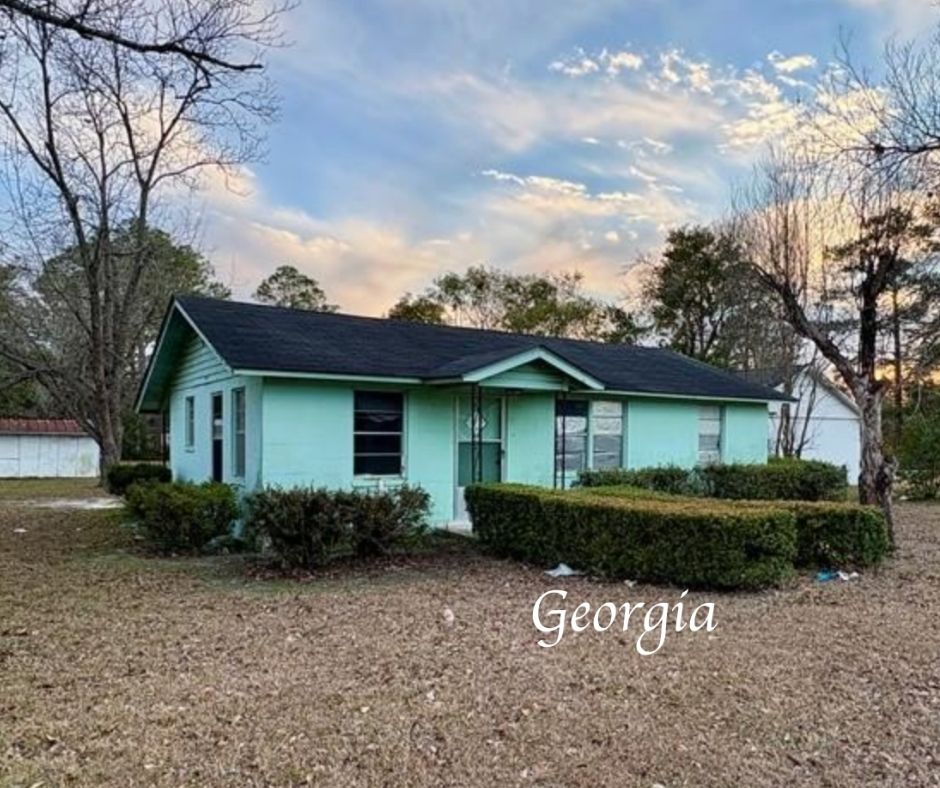 Georgia handyman special