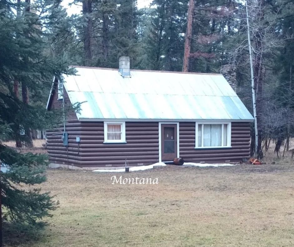 Montana log cabin for sale