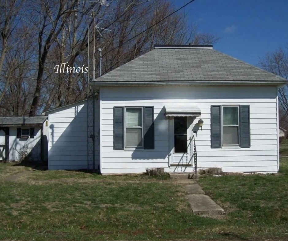 Illinois handyman special