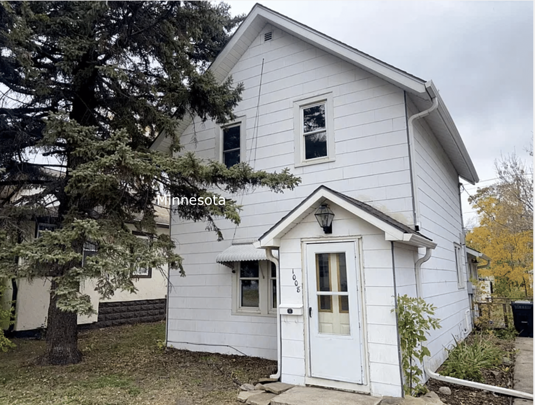 Minnesota handyman special